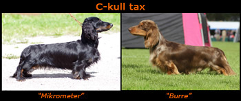 C_kull tax
